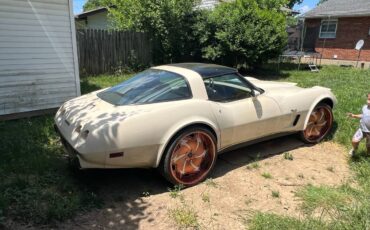 Corvette-stingray-1979-custom
