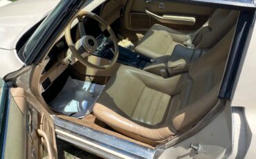 Corvette-stingray-1979-custom-4