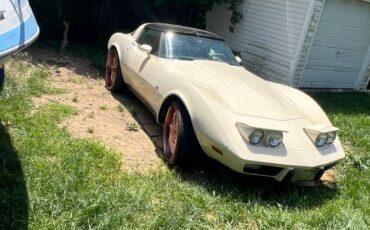 Corvette-stingray-1979-custom-6