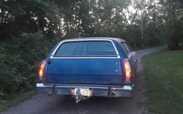 Country-squire-1973-blue-7