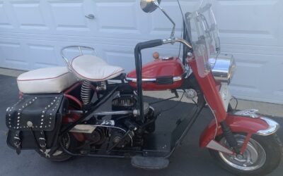 Cushman  1962
