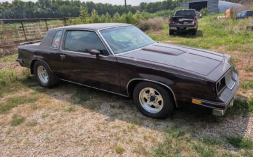 Cutlass-salon-1985-purple-4