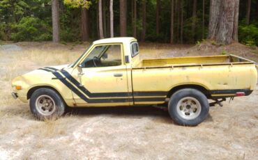 Datsun-12-Ton-Pickup-1972-Commercial-Vehicle-1