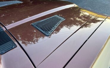 Datsun-280zx-1982-brown-13