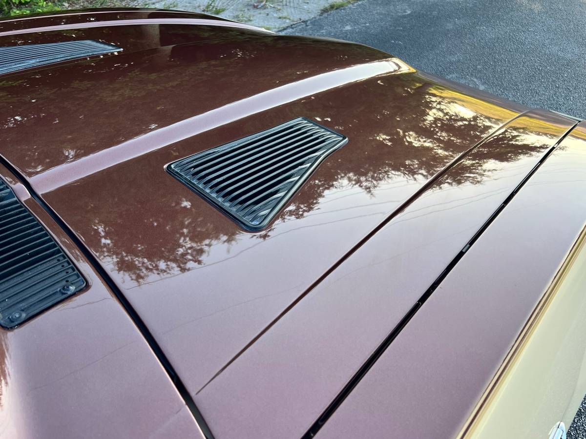 Datsun-280zx-1982-brown-13