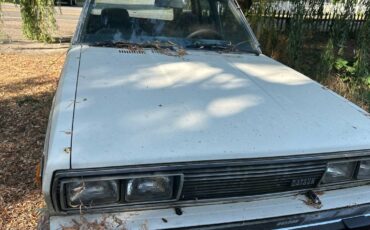 Datsun-510-1979-white-4