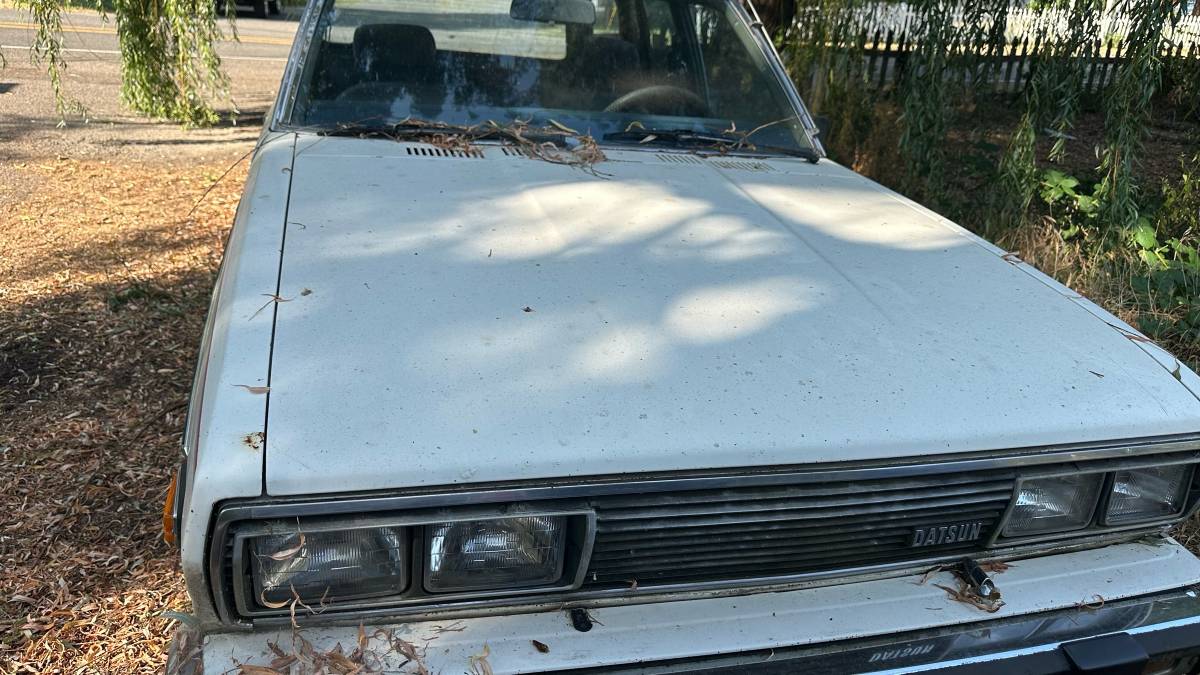 Datsun-510-1979-white-4