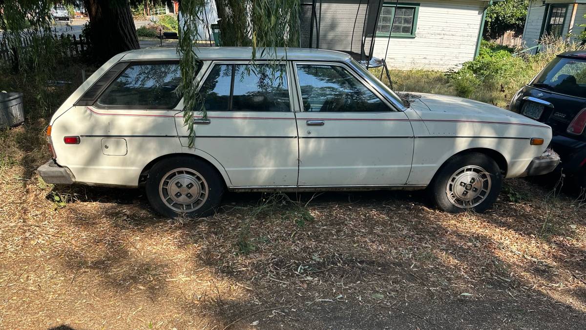 Datsun-510-1979-white