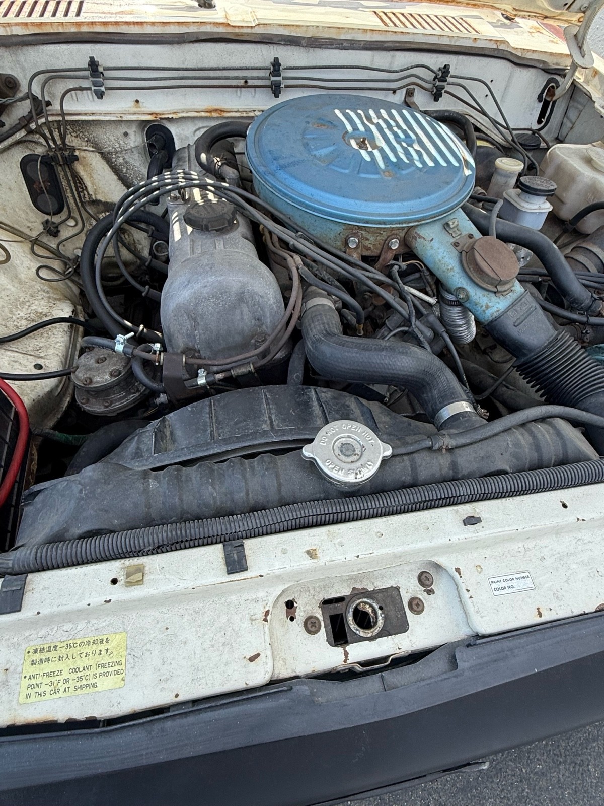 Datsun-720-1980-10