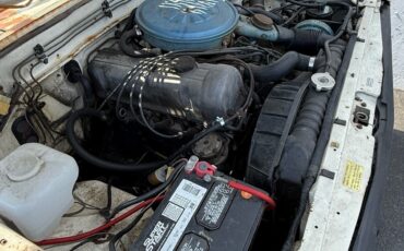 Datsun-720-1980-11