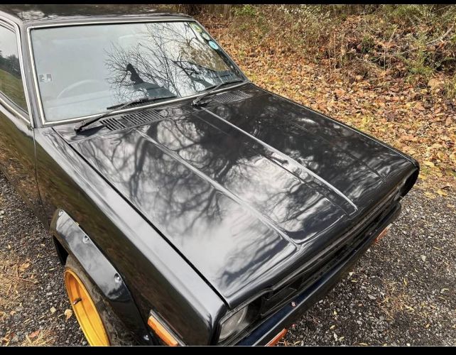 Datsun-Other-1979-16
