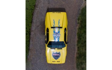De-tomaso-Pantera-1971-Spa-Yellow-Black-2