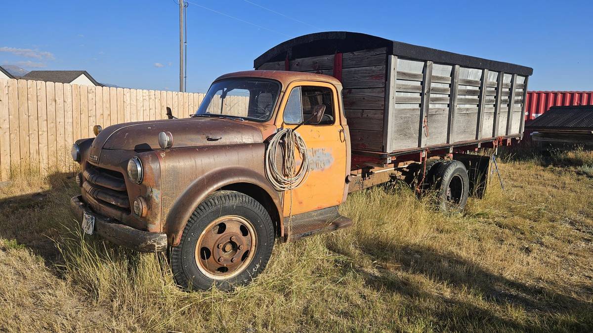 Dodge-1-12-ton-dump-bed-1954-orange