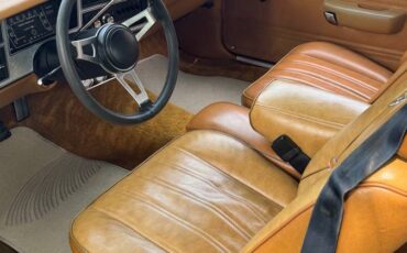 Dodge-1978-brown-1