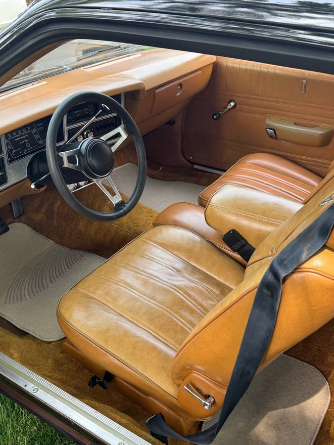 Dodge-1978-brown-1