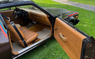 Dodge-1978-brown-2