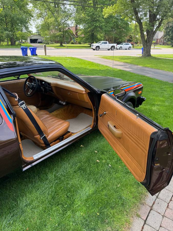 Dodge-1978-brown-2