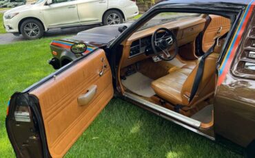 Dodge-1978-brown-3