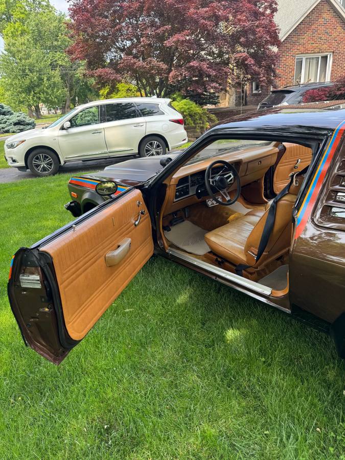 Dodge-1978-brown-3