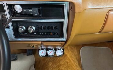 Dodge-1978-brown-5