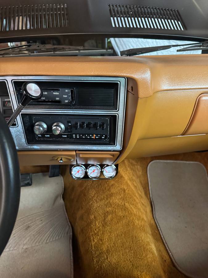 Dodge-1978-brown-5