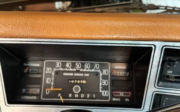 Dodge-1978-brown-7