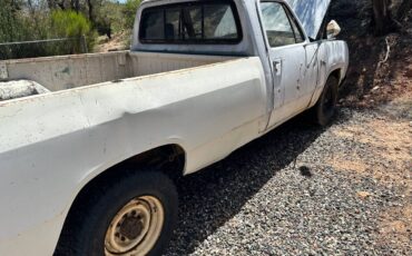 Dodge-1978-white-3