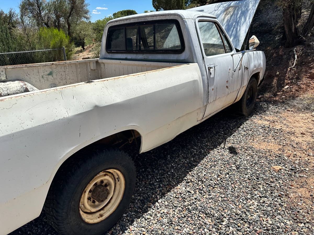 Dodge-1978-white-3