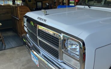 Dodge-34-Ton-Pickup-1991-Standard-Cab-Pickup-10