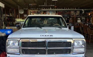 Dodge-34-Ton-Pickup-1991-Standard-Cab-Pickup