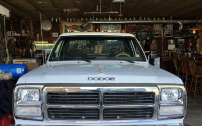 Dodge 3/4 Ton Pickup 1991 Standard Cab Pickup