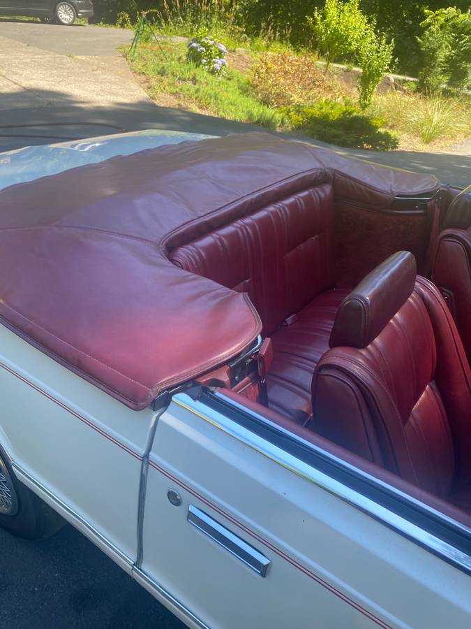 Dodge-400-1983-white-2