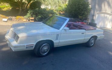 Dodge-400-1983-white-7