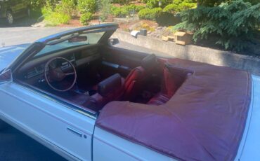 Dodge-400-1983-white-9