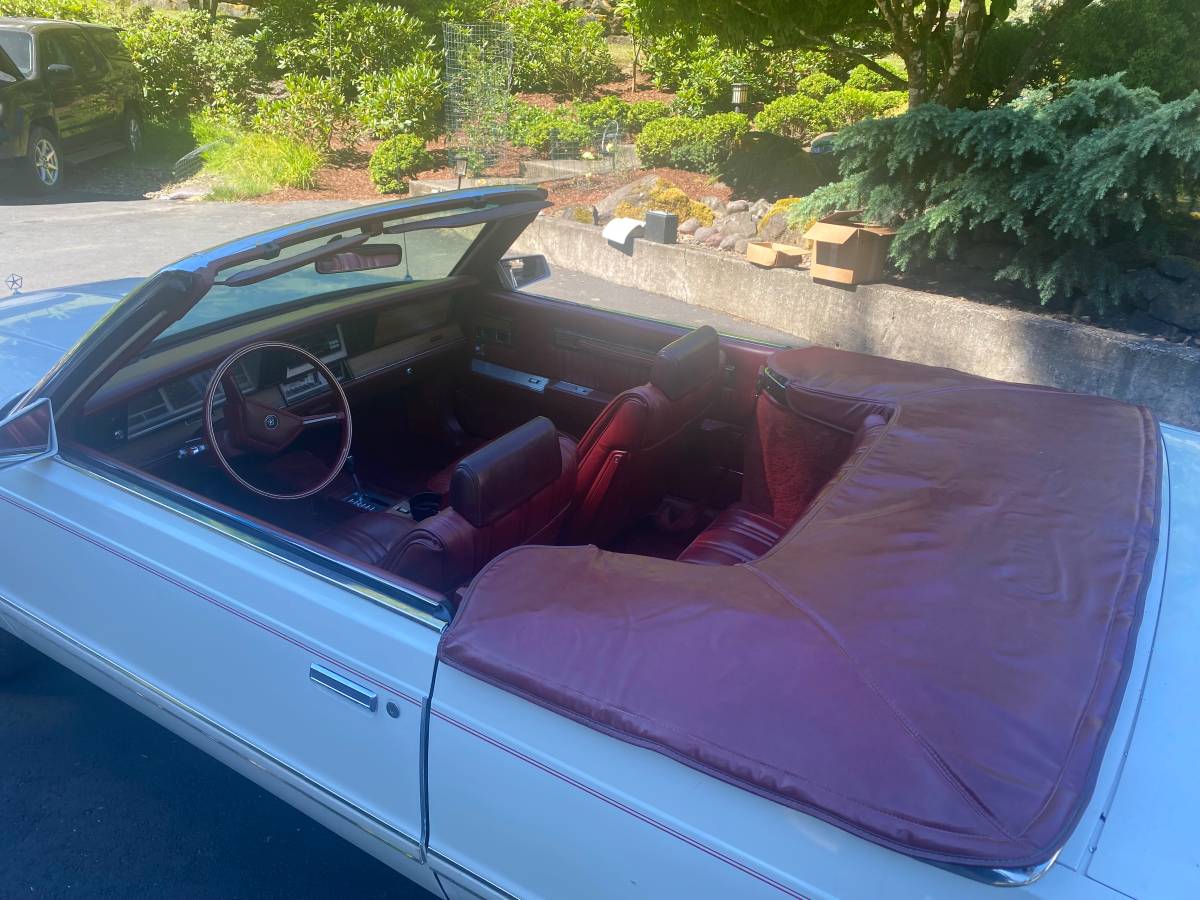 Dodge-400-1983-white-9