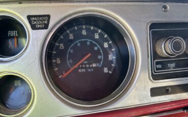 Dodge-4x4-custom.-dump-1979-8