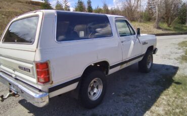 Dodge-4x4-ramcharger-1987-white-8