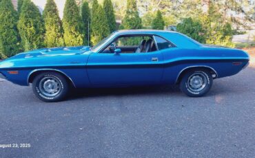 Dodge-Challenger-1970-Rally-28