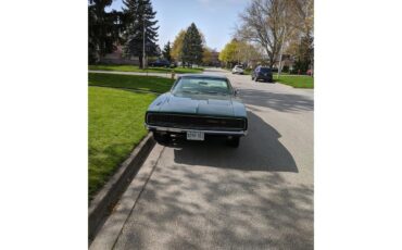 Dodge-Charger-1968-Dark-Green-White-4