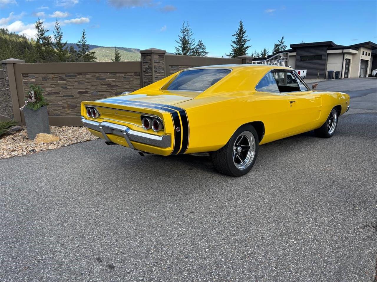 Dodge-Charger-1968-yellow-black-5