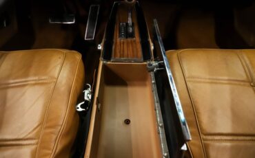 Dodge-Charger-1969-Black-Tan-27