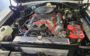 Dodge-Coronet-500-1966-White-Black-27