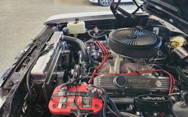 Dodge-Coronet-500-1966-White-Black-29