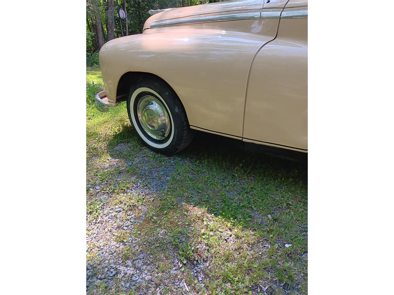 Dodge-Custom-1948-Yellow-Navy-Blue-tan-10