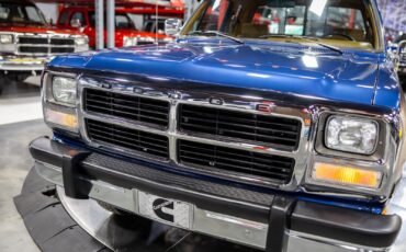 Dodge-D250-W250-1992-Pickup-Truck-20