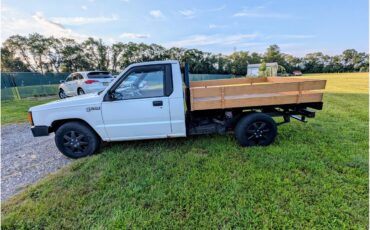 Dodge-D50-1988-White-Tan-8