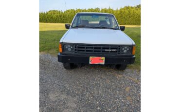 Dodge-D50-1988-White-Tan-9