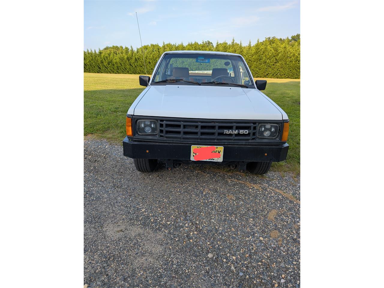 Dodge-D50-1988-White-Tan-9