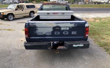 Dodge-Dakota-1989-11