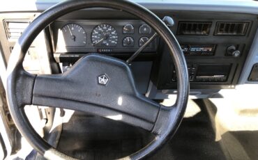 Dodge-Dakota-1989-13